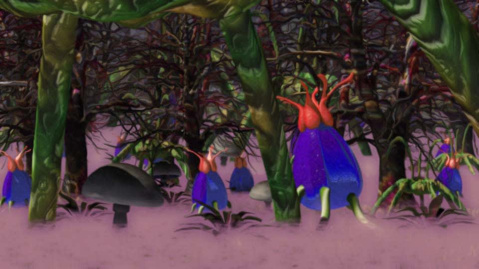 forest